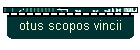 otus scopos vincii