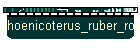 phoenicoterus_ruber_roseus