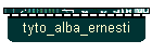 tyto_alba_ernesti